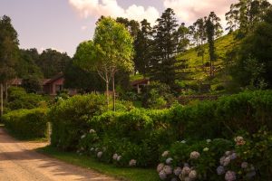 How to maintain your hedge
